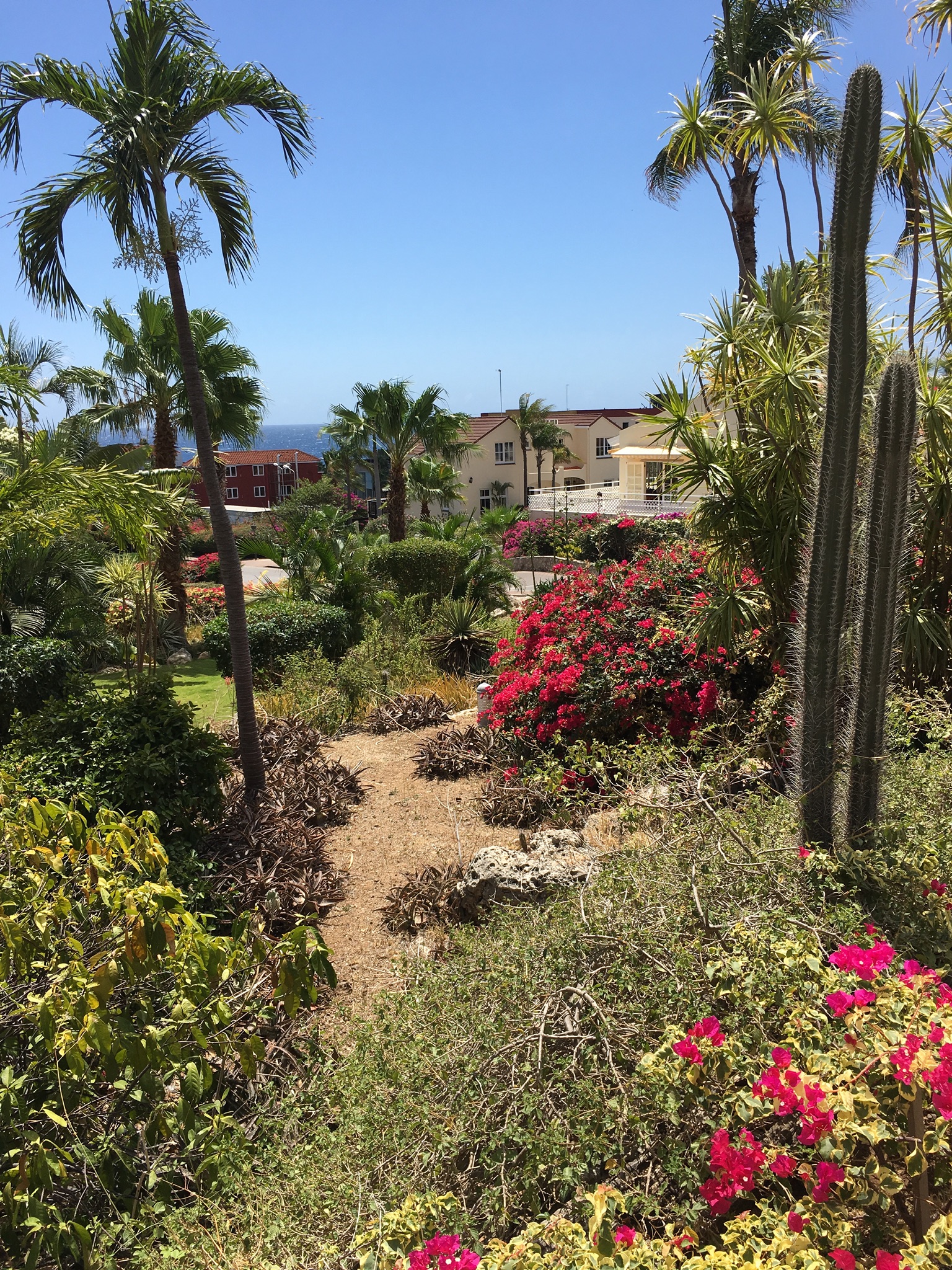 95BF56E7-D898-4246-9169-7A1FA9D2248C