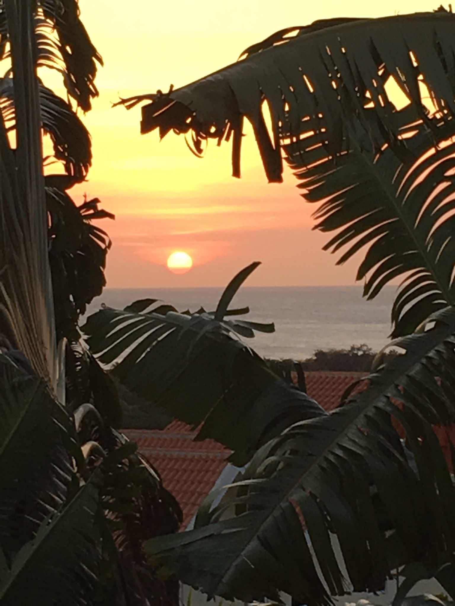 E565E508-6F26-4E04-A355-861BF40AD179